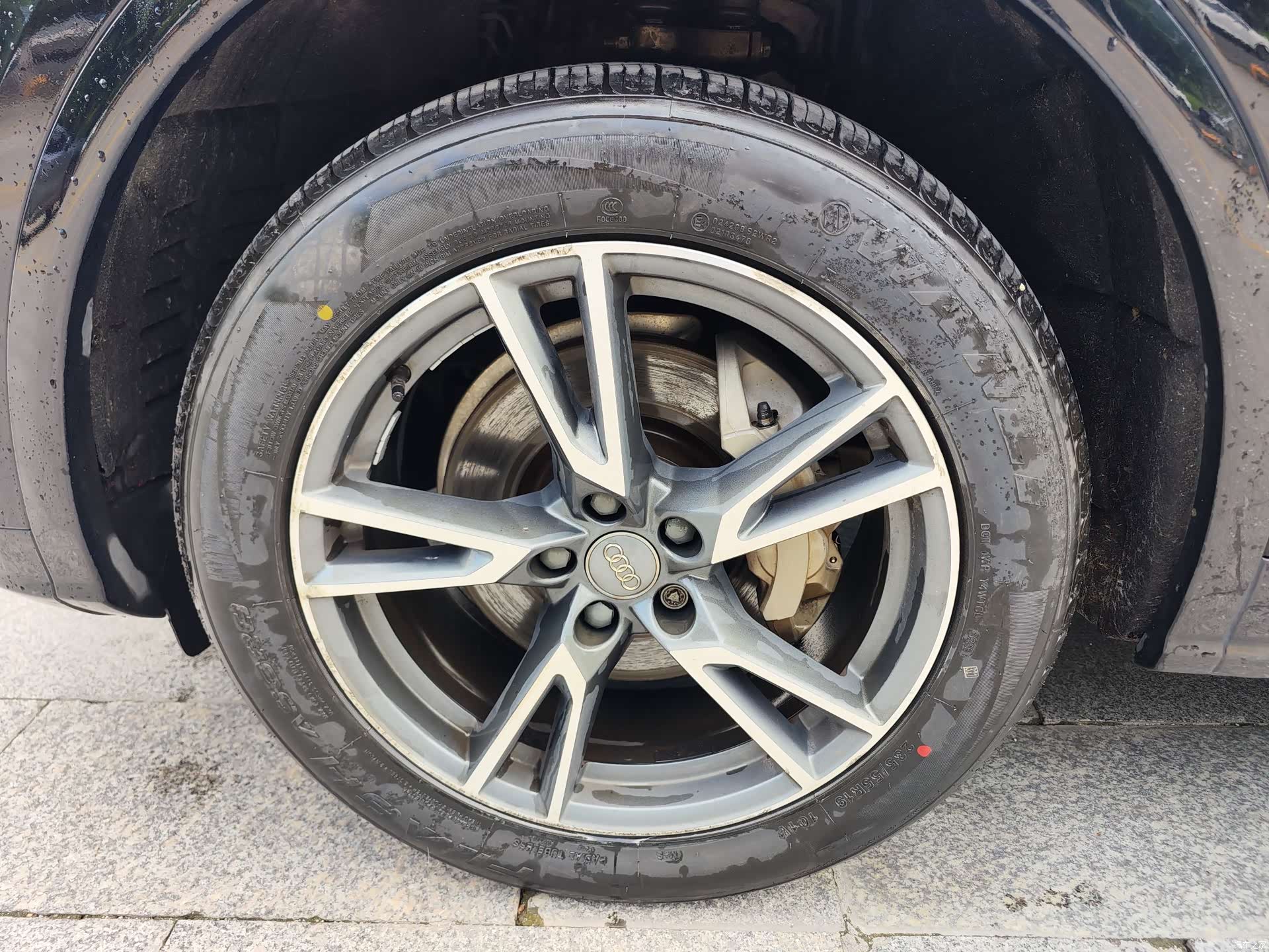 Audi Q5L, 2019 все фото