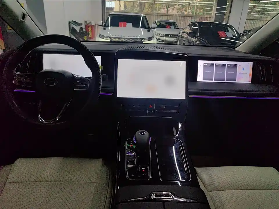 Trumpchi Trumpchi E9