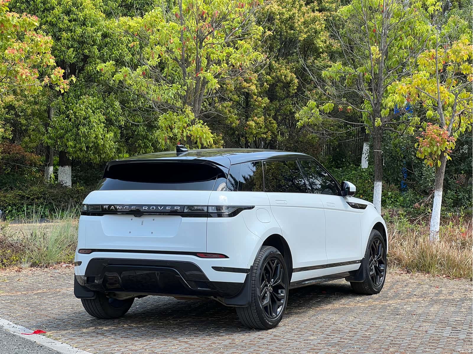 Land Rover Range Rover, 2022 18