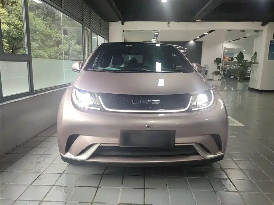 BYD dolphin