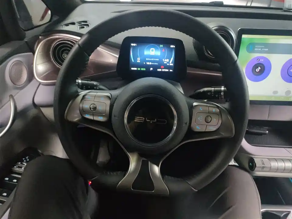 BYD dolphin