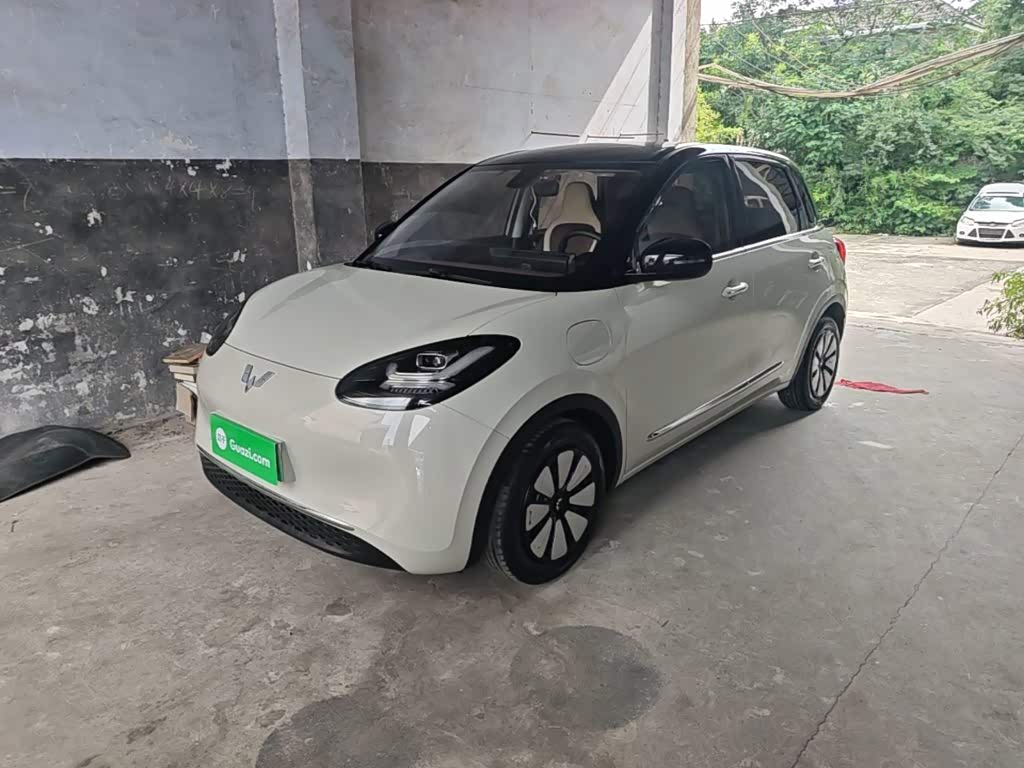 Wuling Binguo