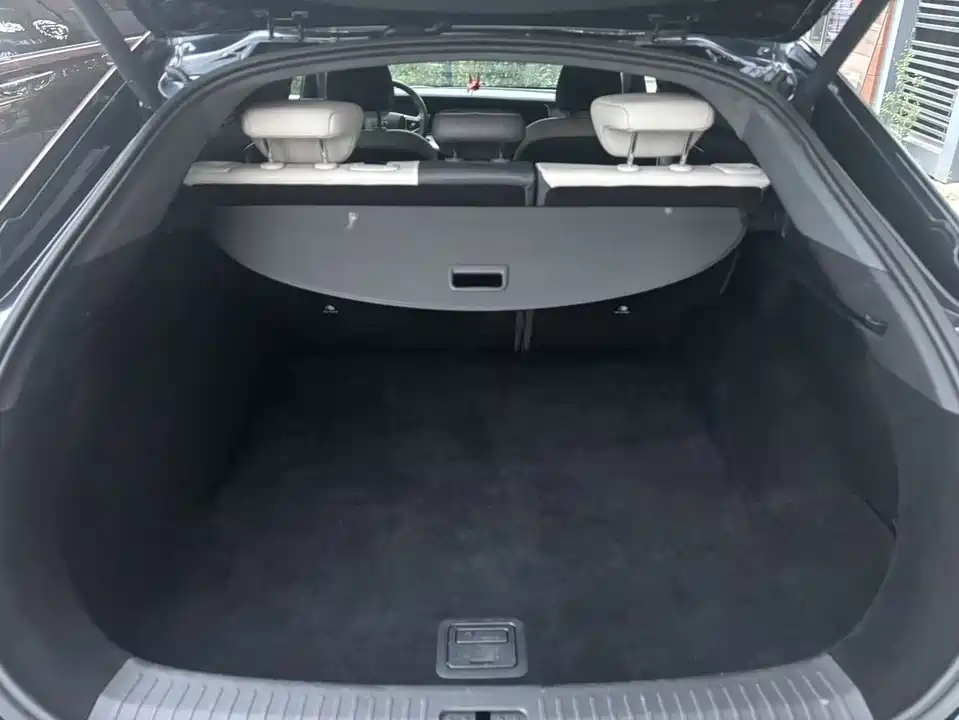 ARCFOX Polar Fox Alpha S