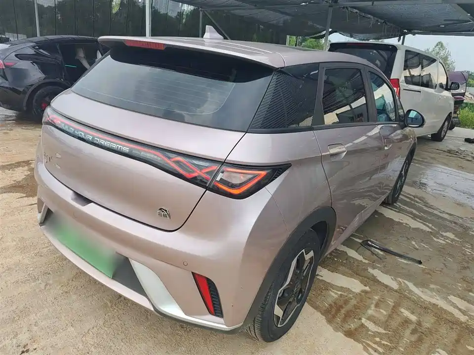 BYD dolphin