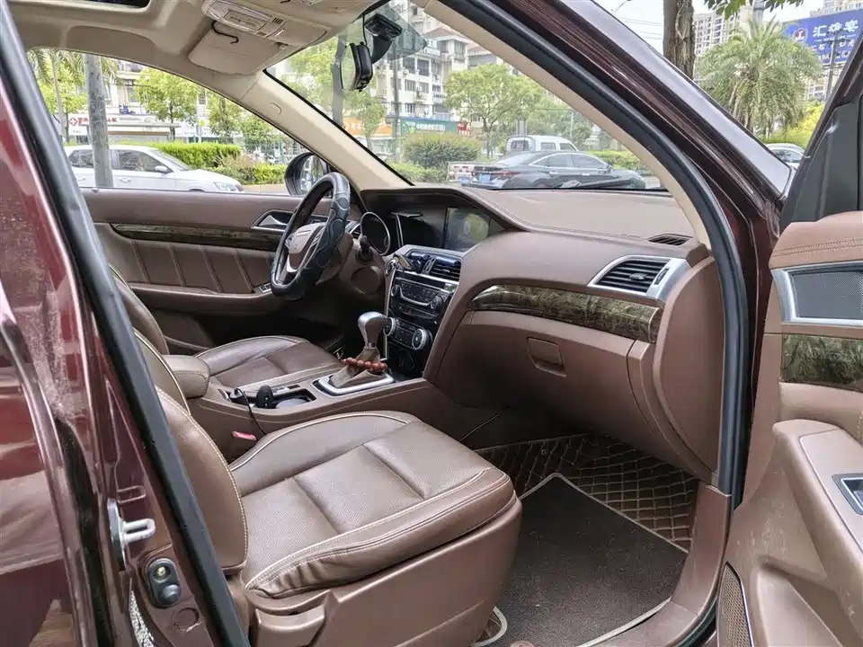 Leopaard Cheetah CS10