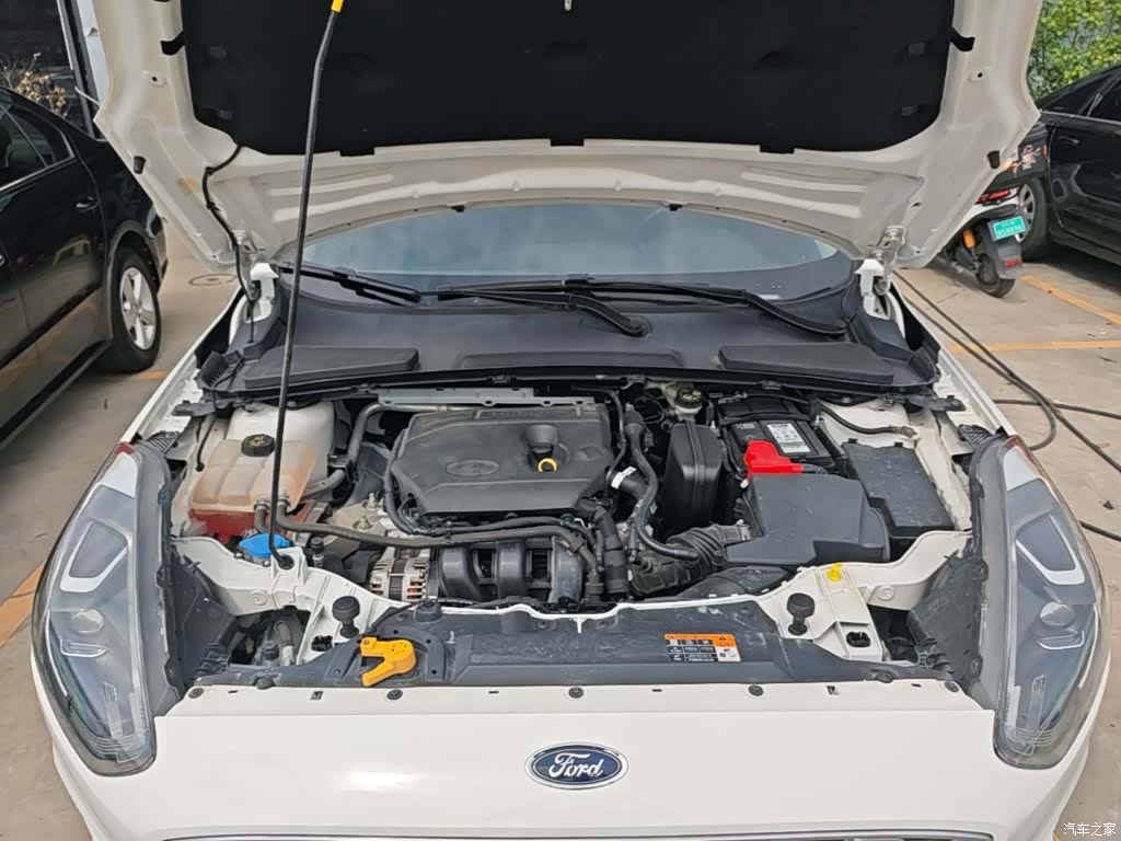 Ford VI, 2019 20