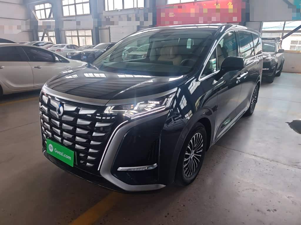 Denza D9