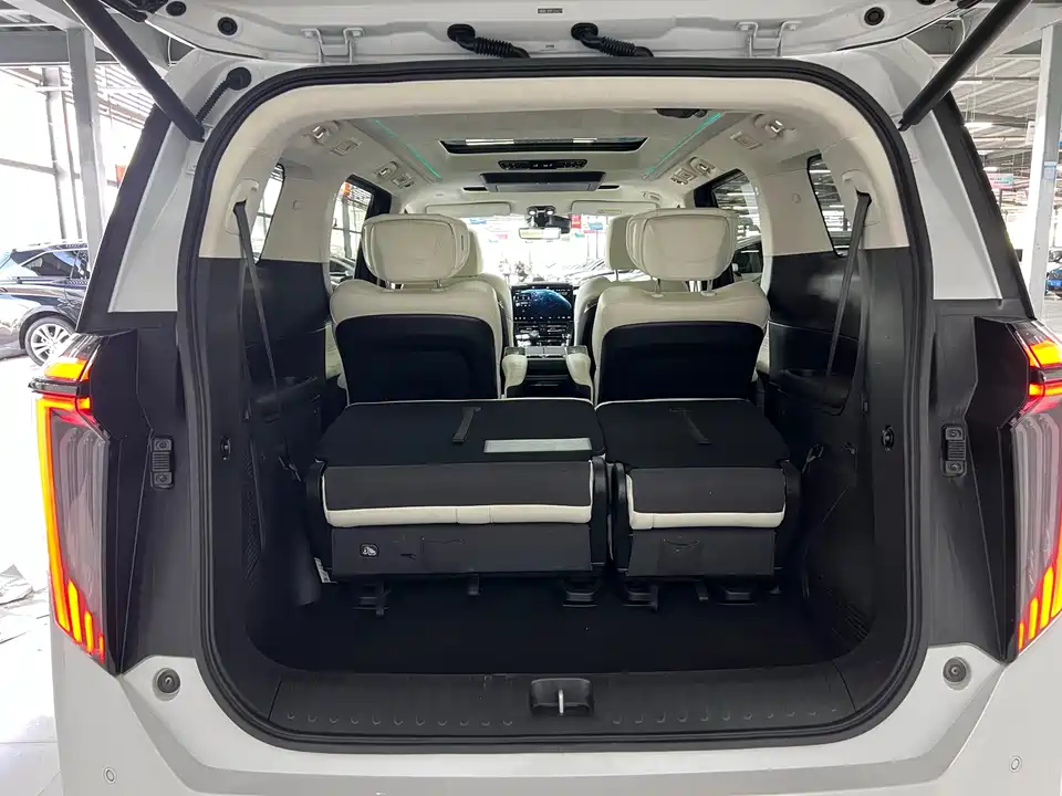 Trumpchi Trumpchi E9