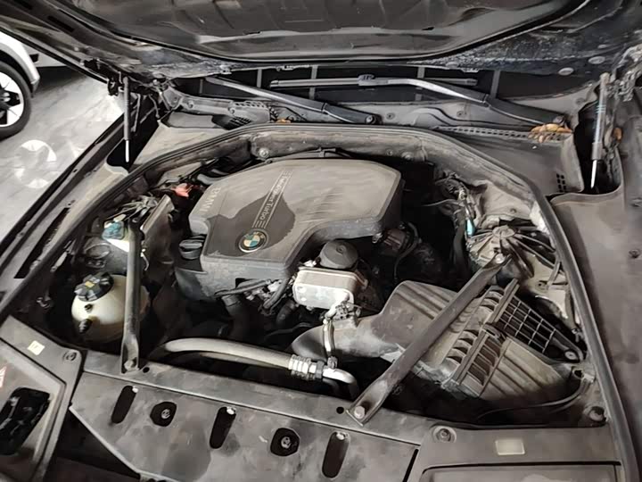 BMW 5 Series 2014 520i dian ya xing