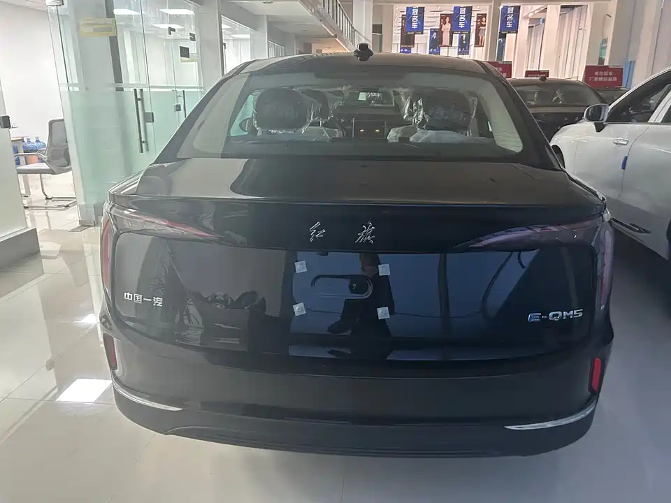 Hongqi E-QM5 Hongqi E-QM5