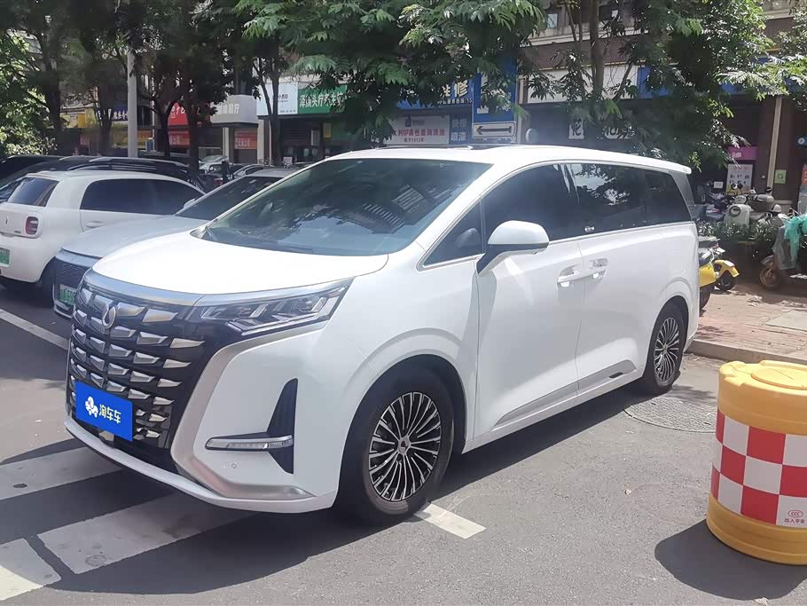 Denza D9