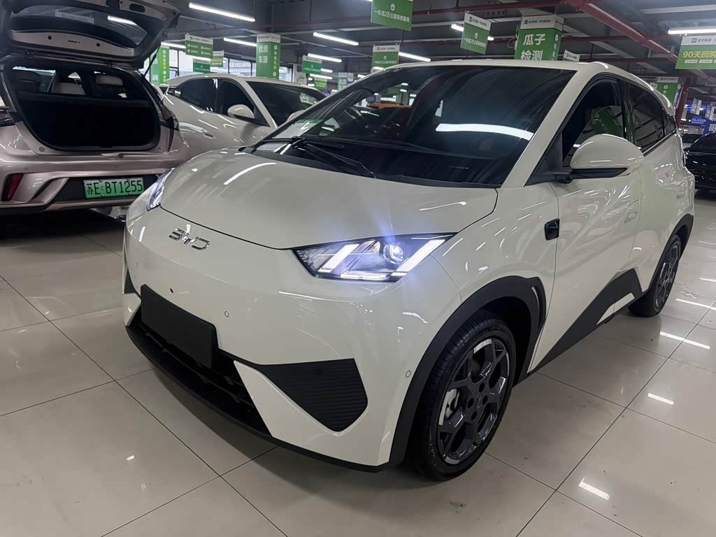 BYD Seagull