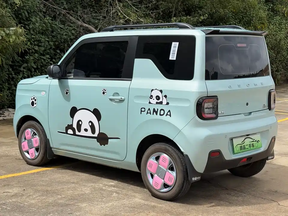 Geely Galaxy panda