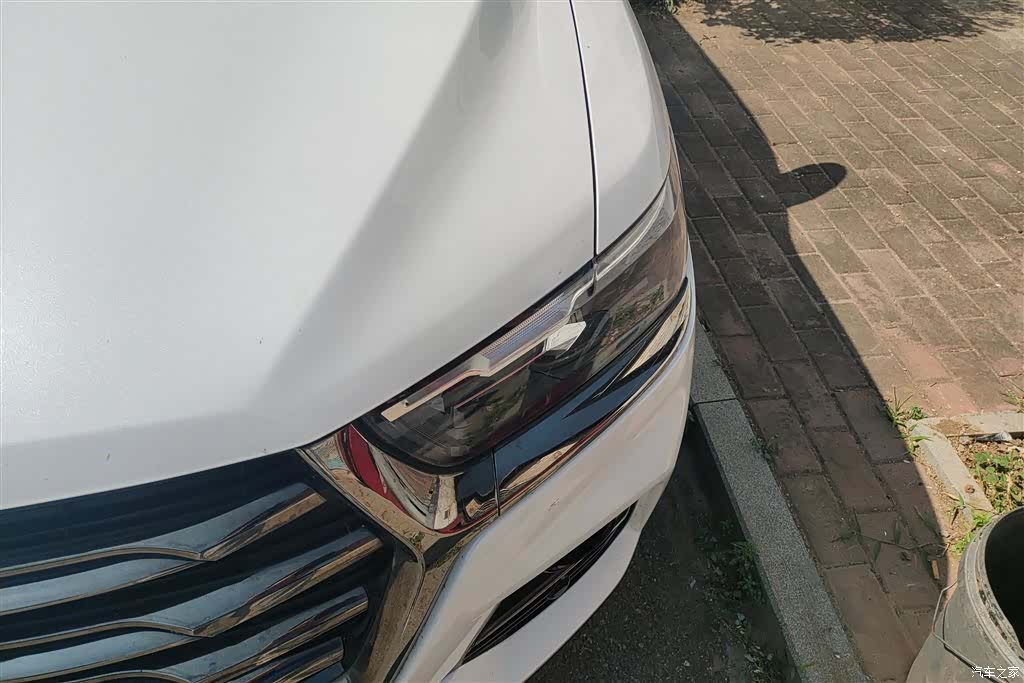 Haval H6, 2021 все фото