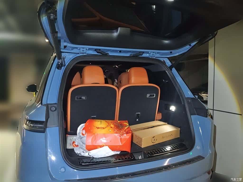 Li Auto L9, 2022 10