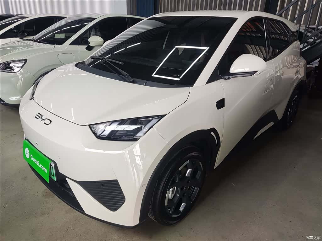 BYD Seagull, 2025 1