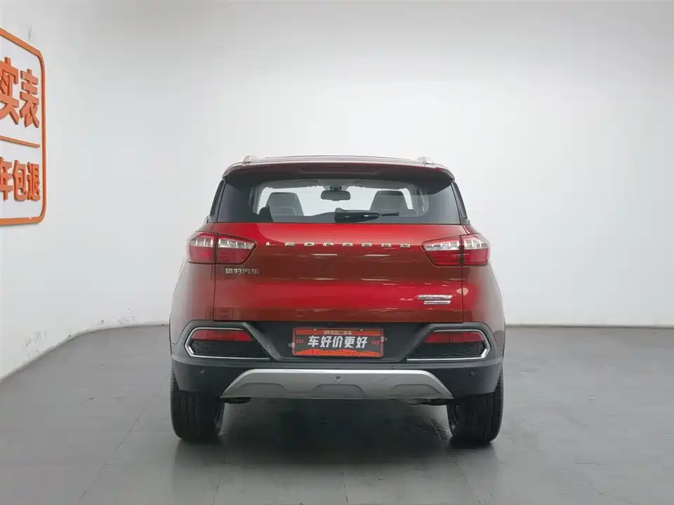 Leopaard Cheetah CS9