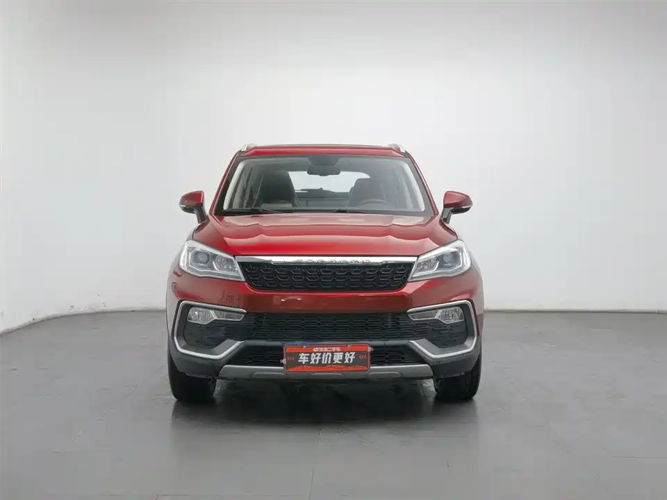 Leopaard Cheetah CS9