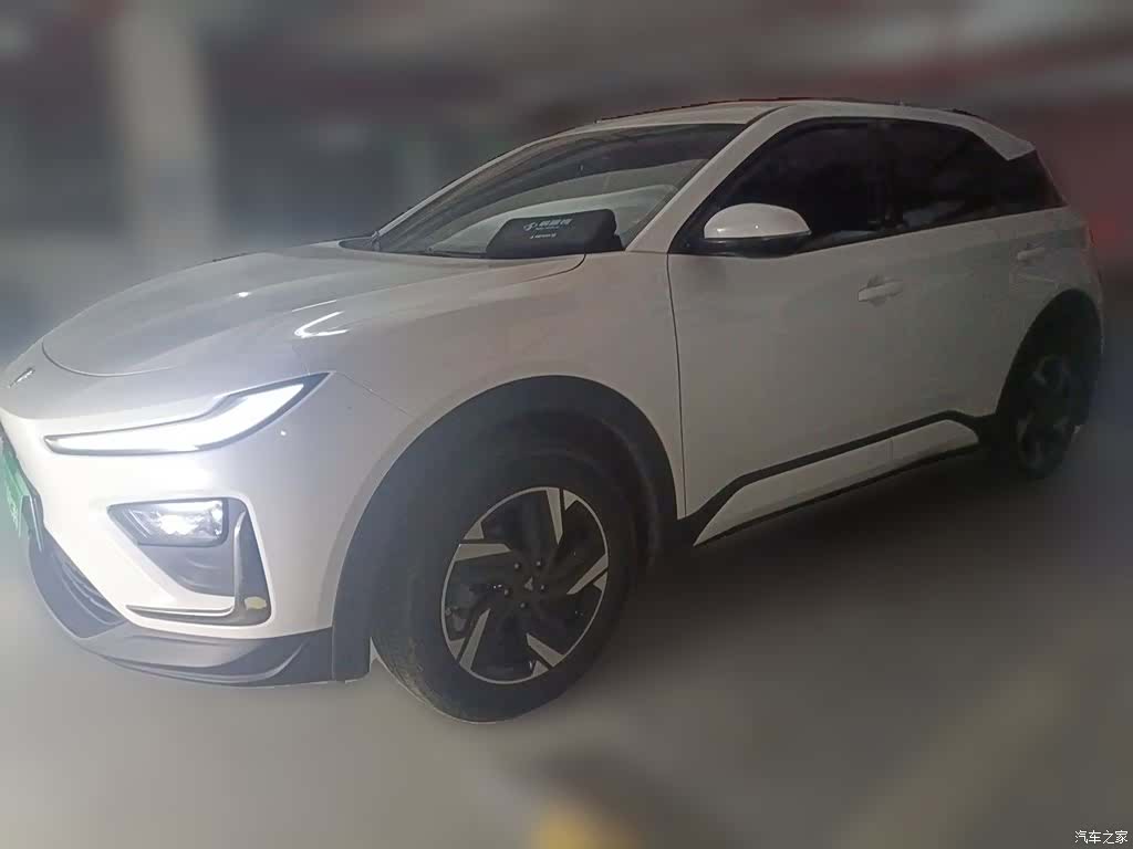 Neta L, 2024 1