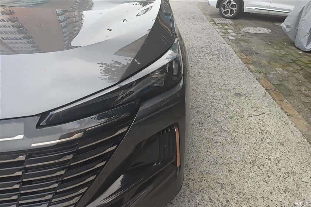 Changan CS55, 2022 все фото