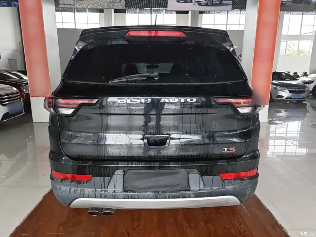 Bisu T5, 2018 6