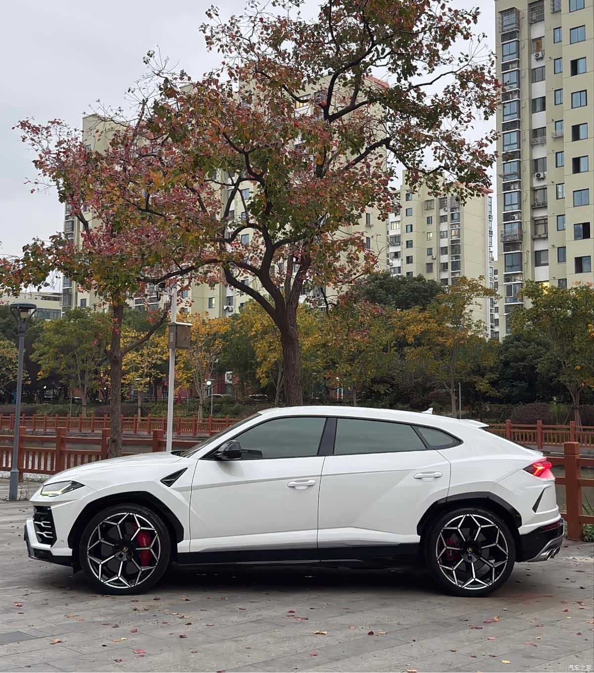 Lamborghini Urus, 2019 все фото