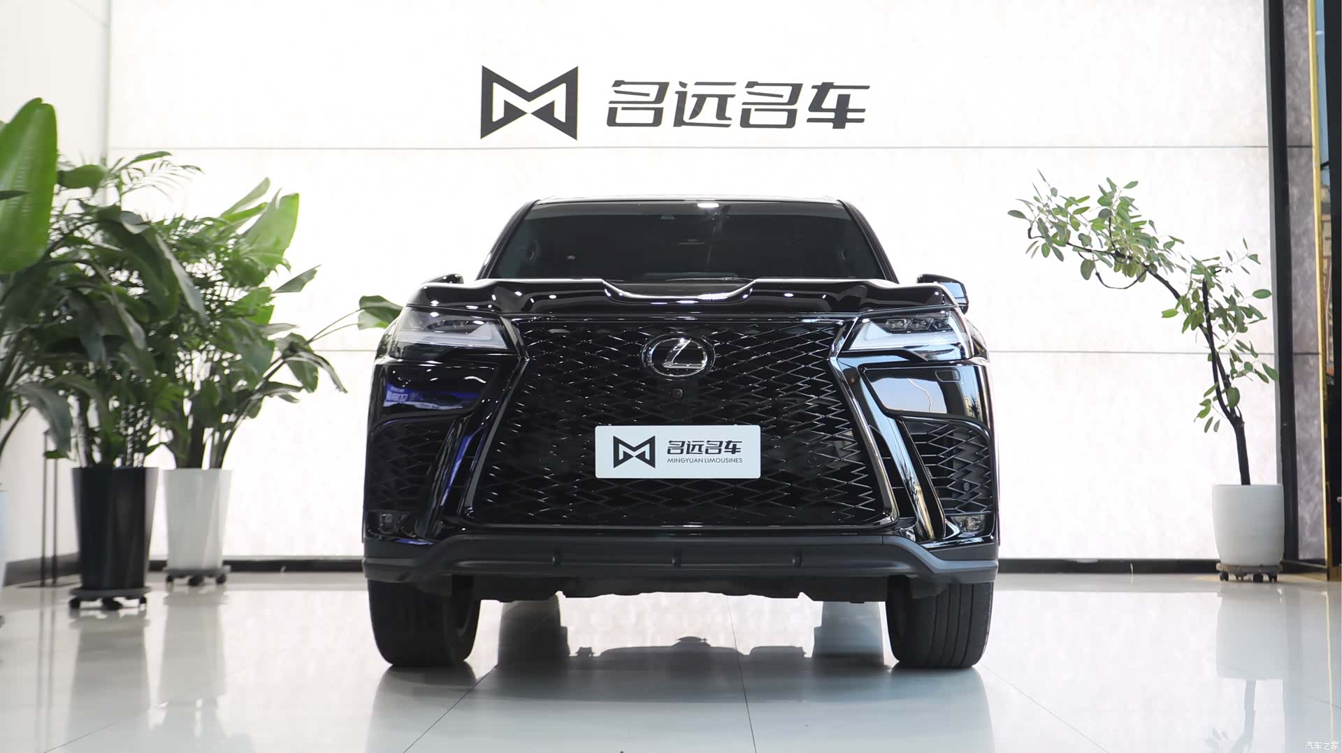 Lexus LX, 2024 2