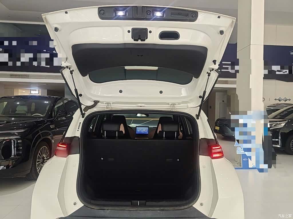 BYD Seagull, 2024 19