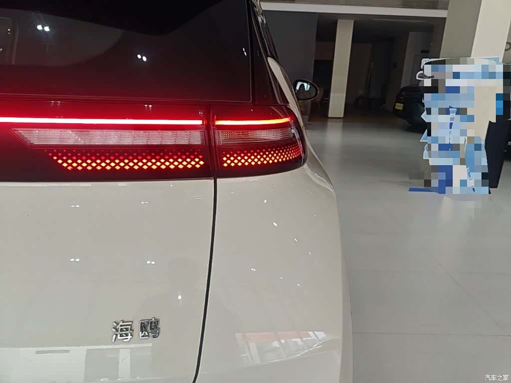 BYD Seagull, 2024 8