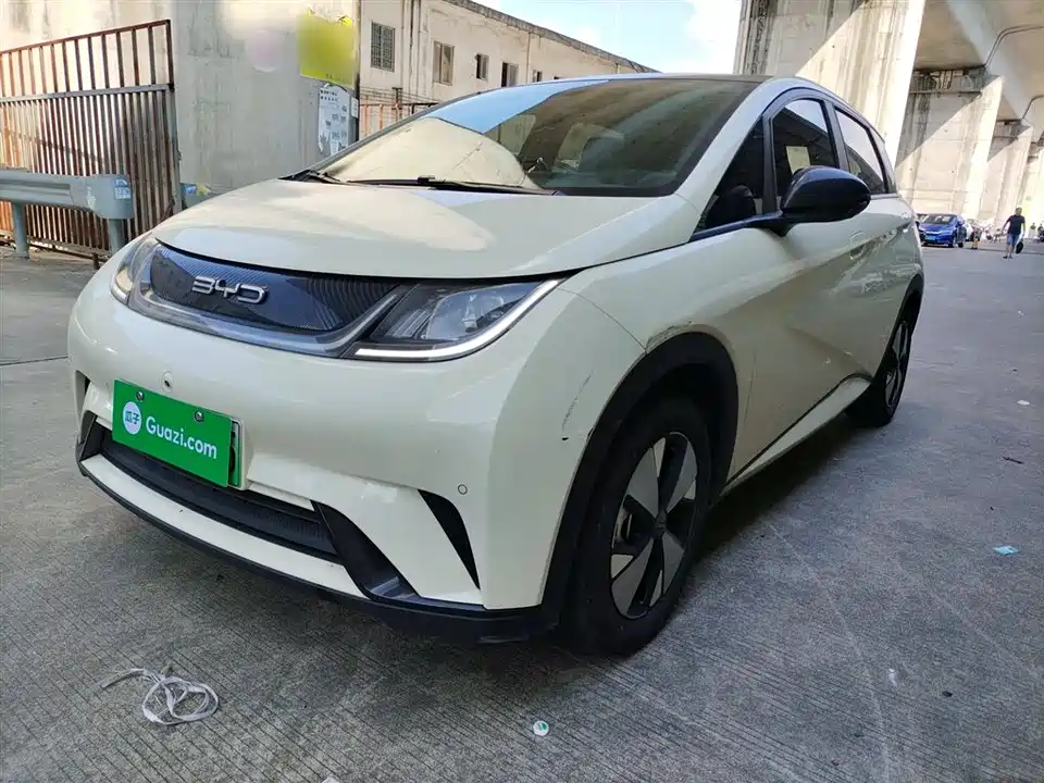 BYD dolphin