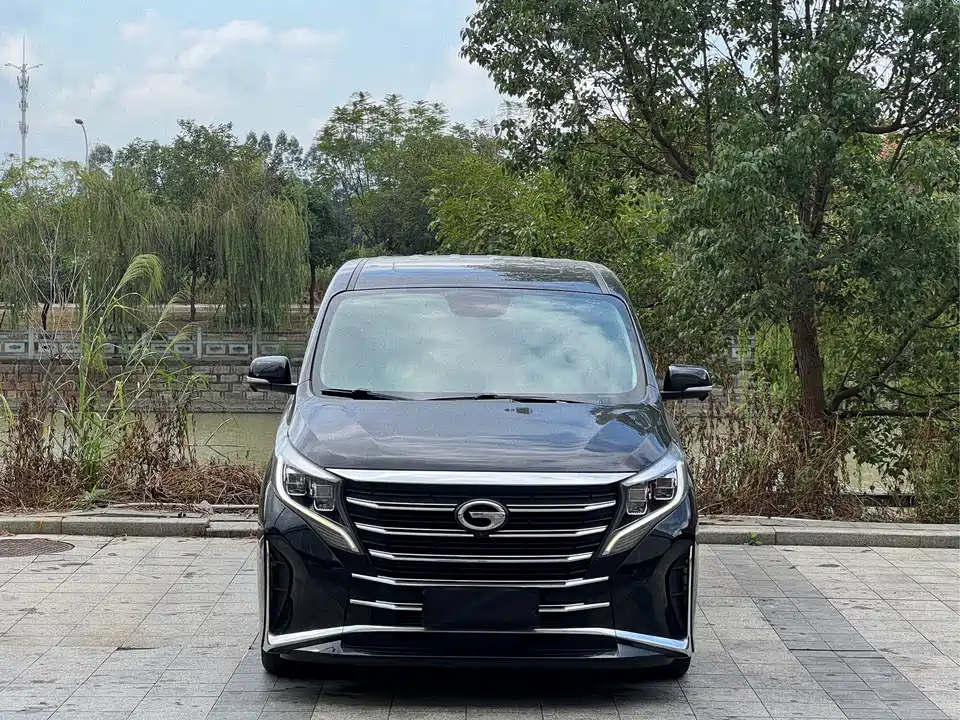 Trumpchi Trumpchi M8