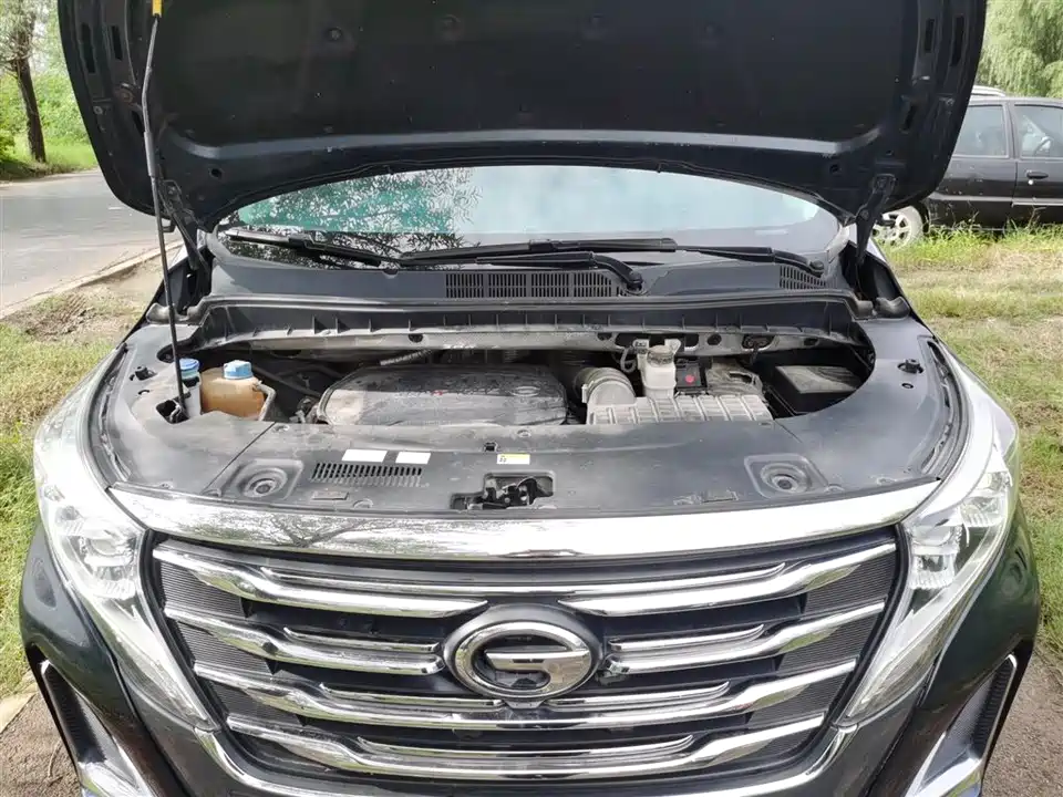 Trumpchi Trumpchi M8