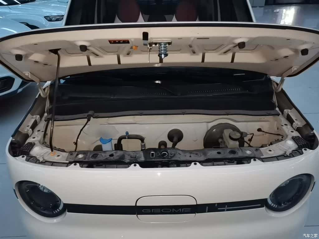 Geely Panda, 2025 20