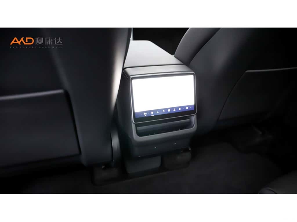 Tesla Model Y, 2025 10