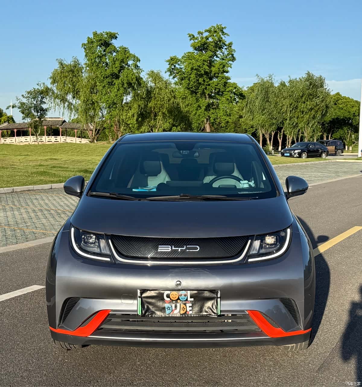 BYD Dolphin, 2022 2