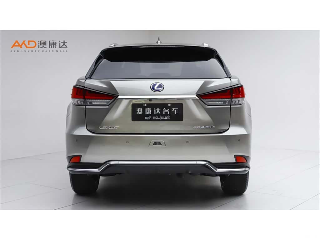 Lexus RX, 2023 4