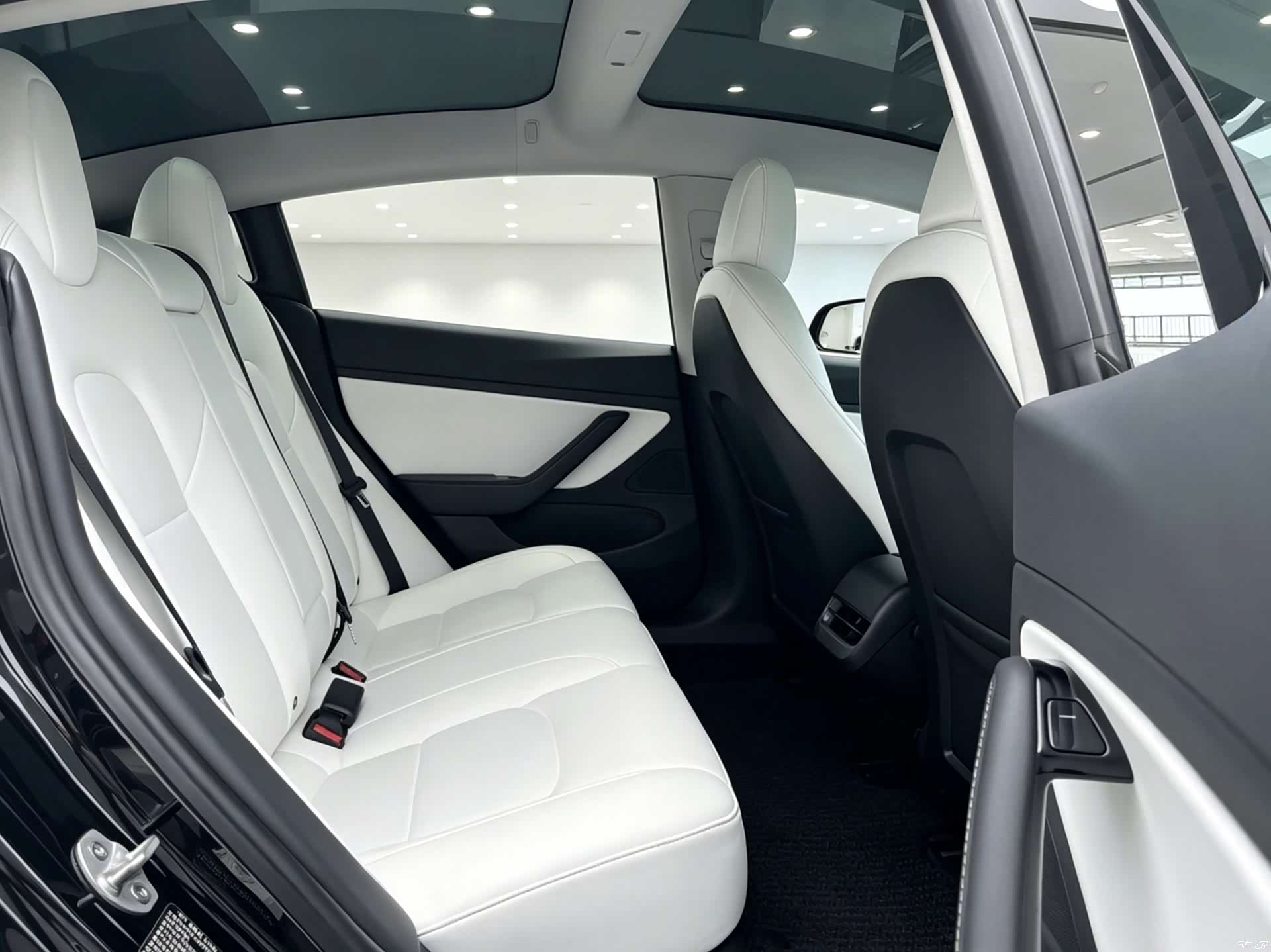 Tesla Model 3, 2021 11