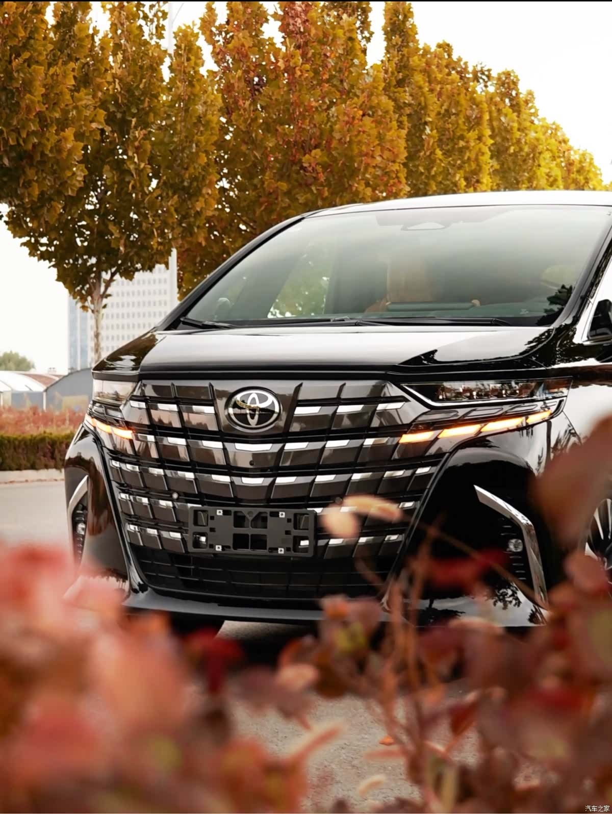 Toyota Alphard, 2025 6