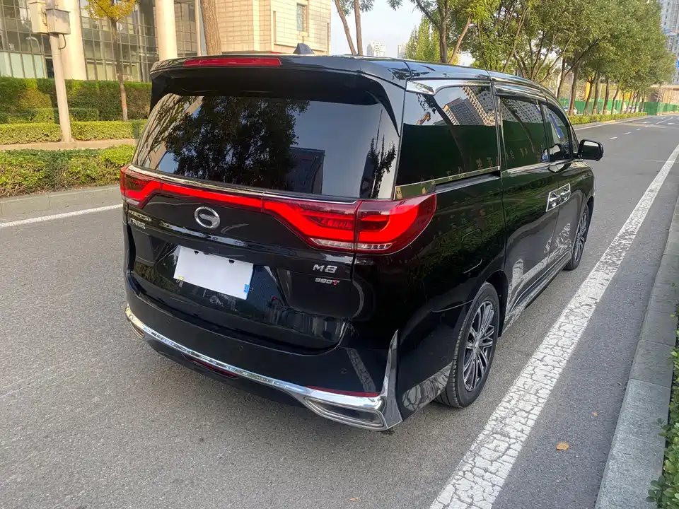 Trumpchi Trumpchi M8