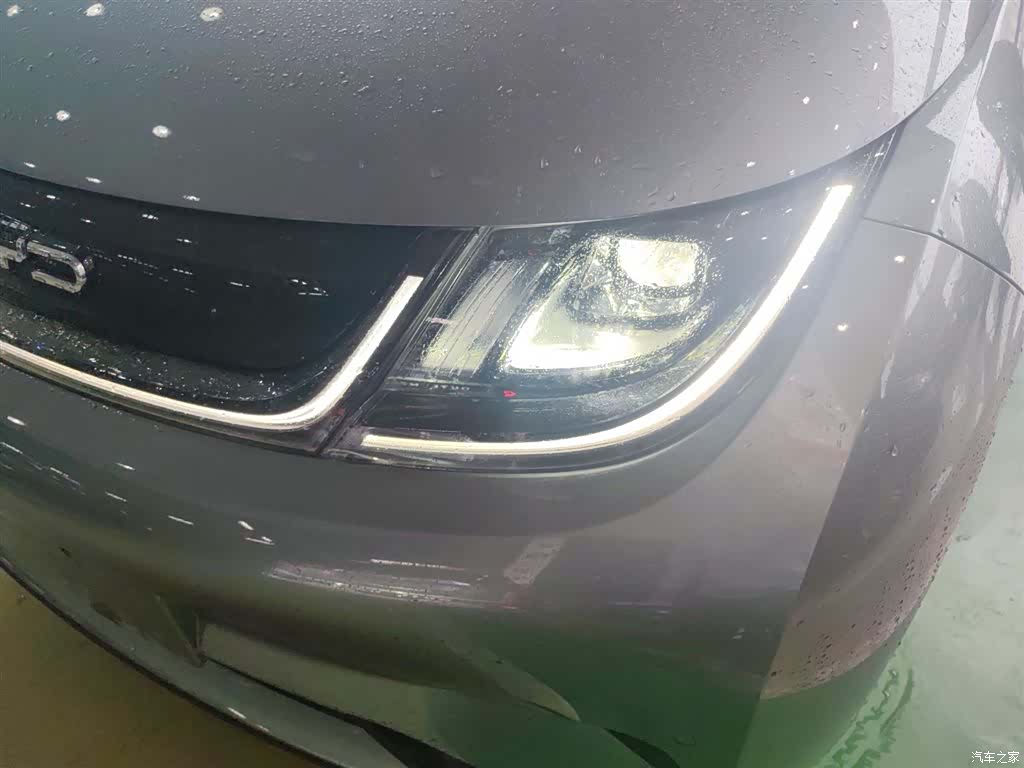 BYD Dolphin, 2024 24