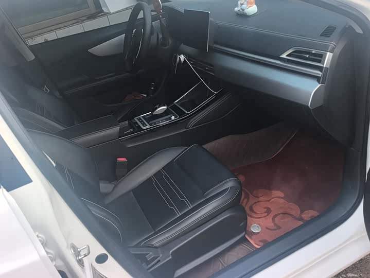 BYD Qin 2019 gao xu hang ban Премиум