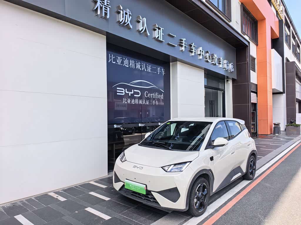 BYD Seagull 2025 Smart Drive 305km Freedom