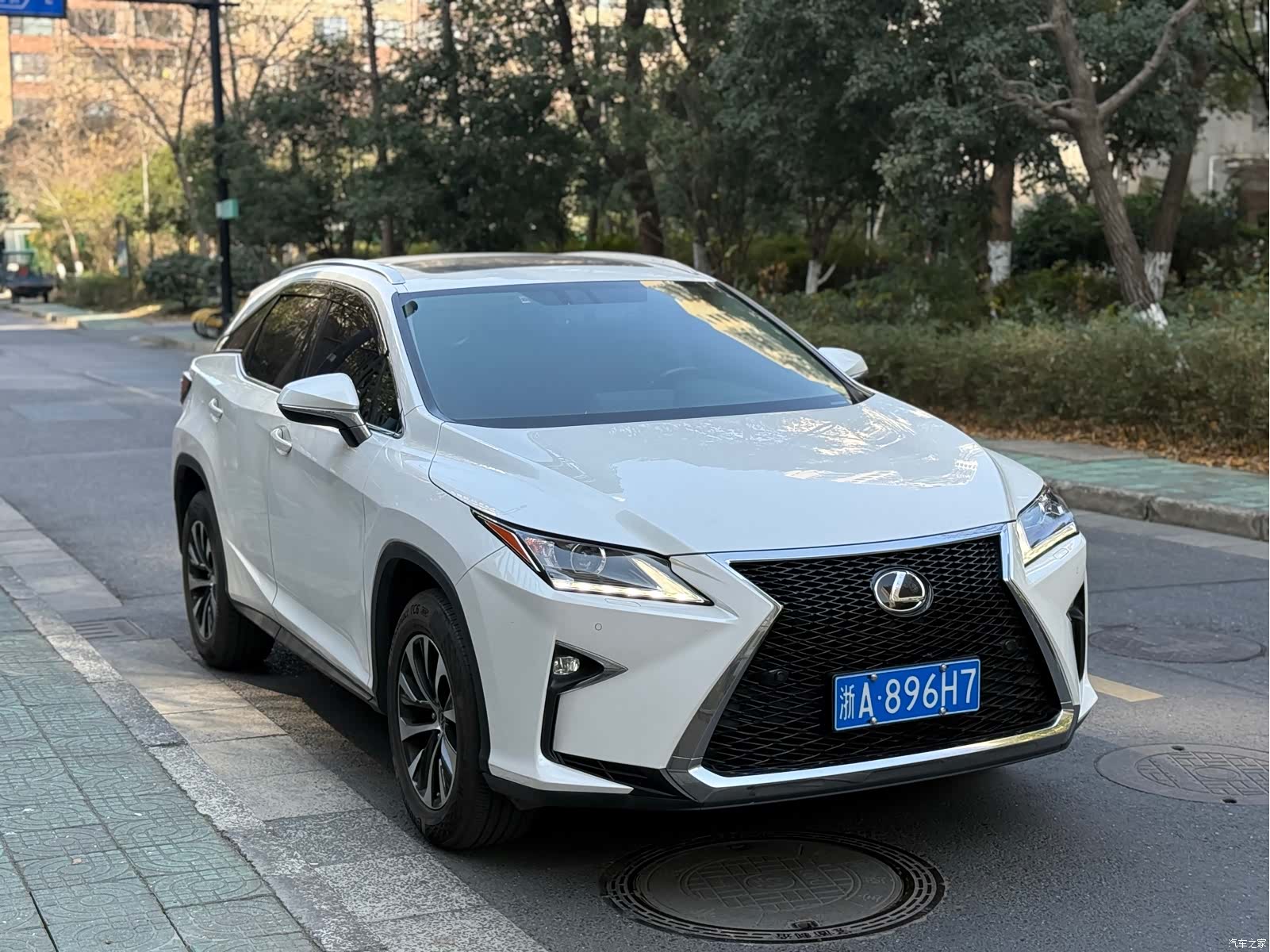 Lexus RX, 2017 3