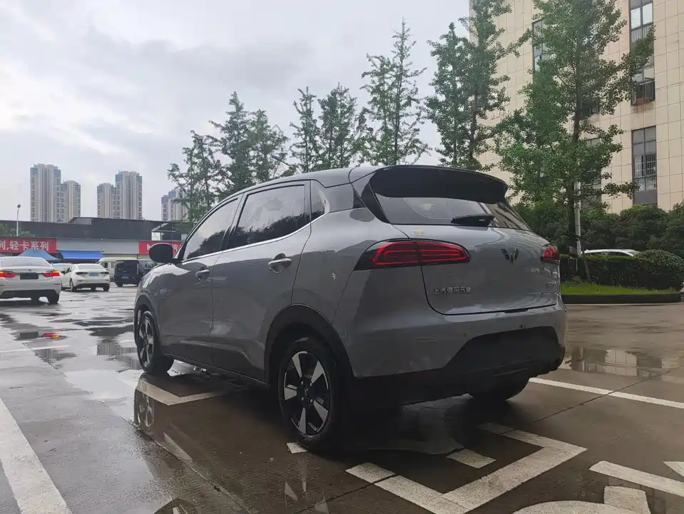 Wuling Wuling Bingguo PLUS