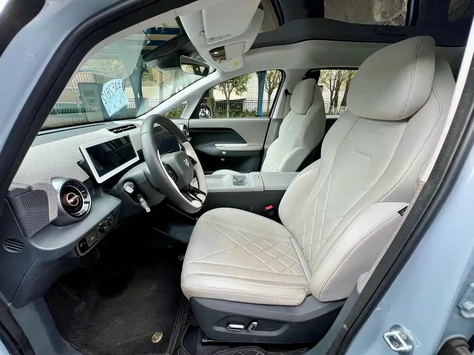 ARCFOX Polar Fox Koala S