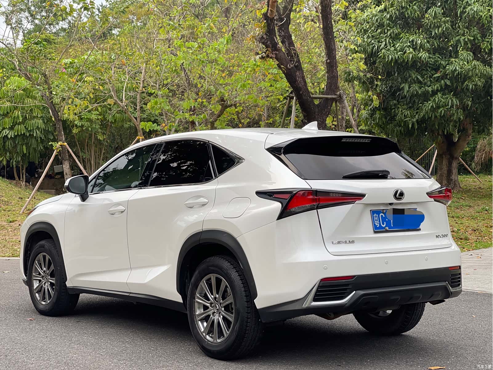 Lexus NX, 2019 7
