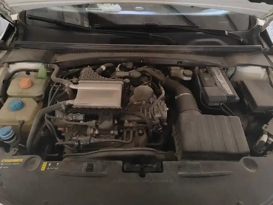 Trumpchi Shadow Leopard