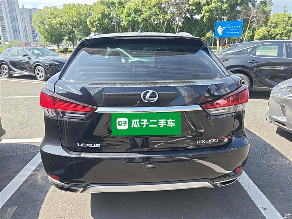 Lexus RX, 2019 6