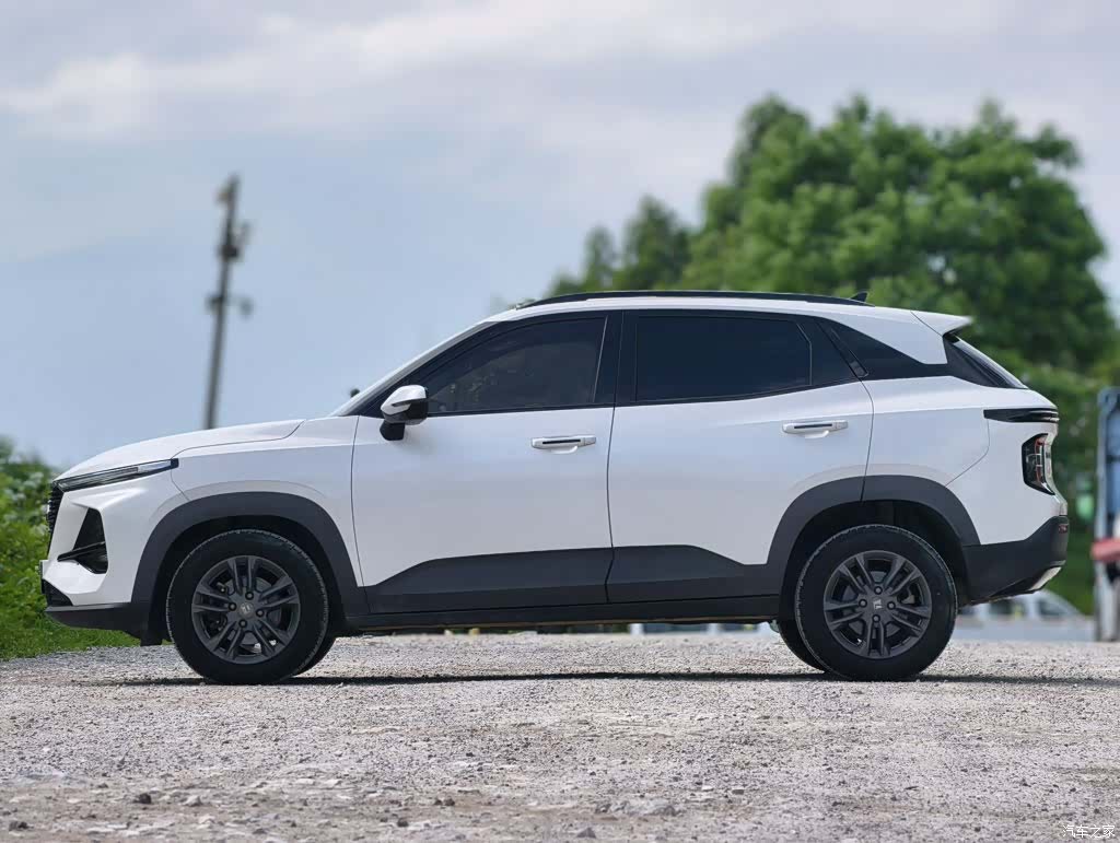 Wuling RS-3, 2020 4