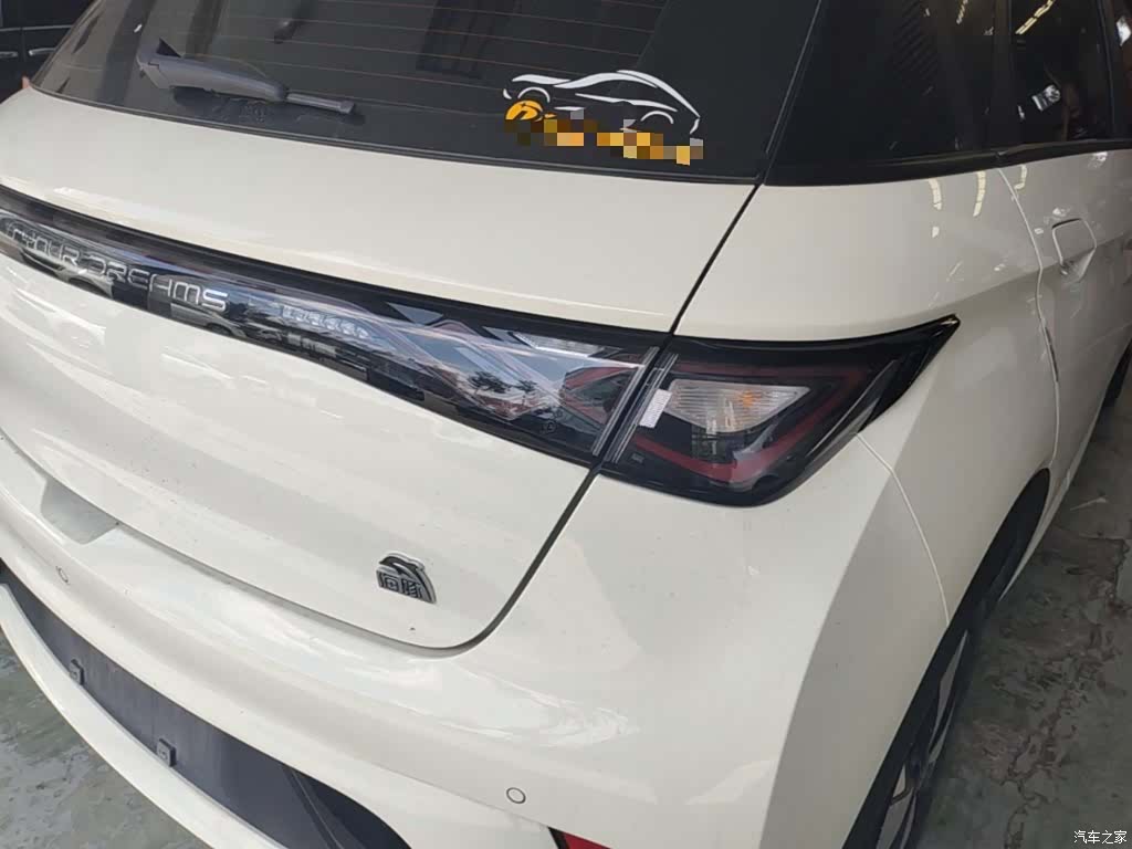 BYD Dolphin, 2023 8